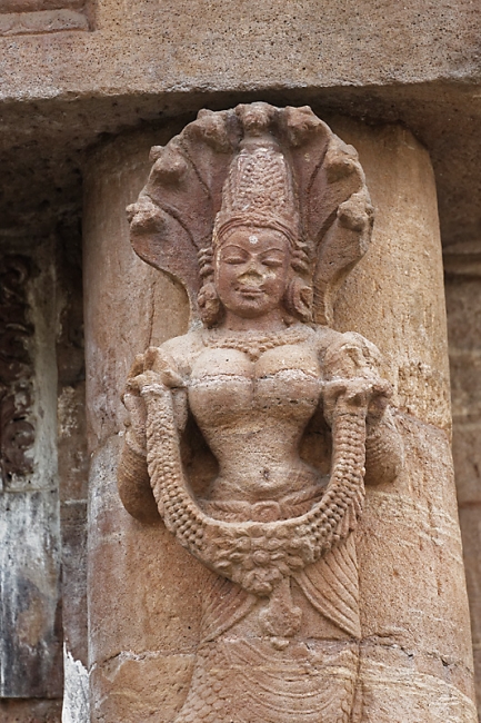 Bhubaneswar-Rajarani temple-018